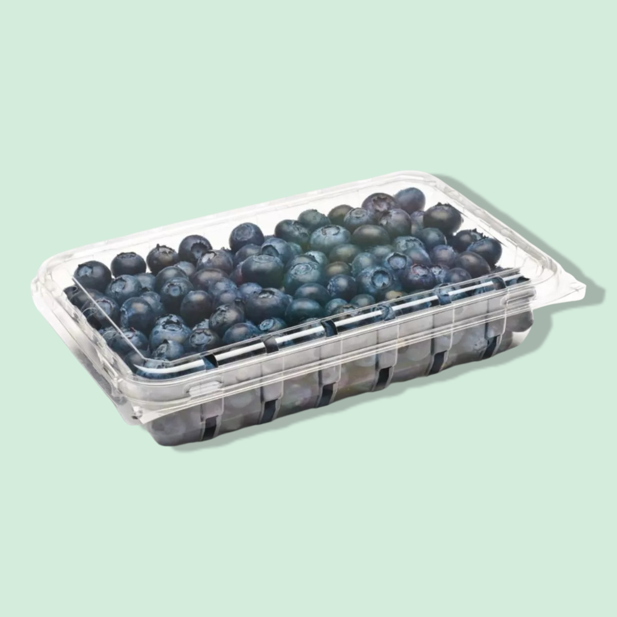 CLAMSHELL para frutas y frutos secos - Imagen 7