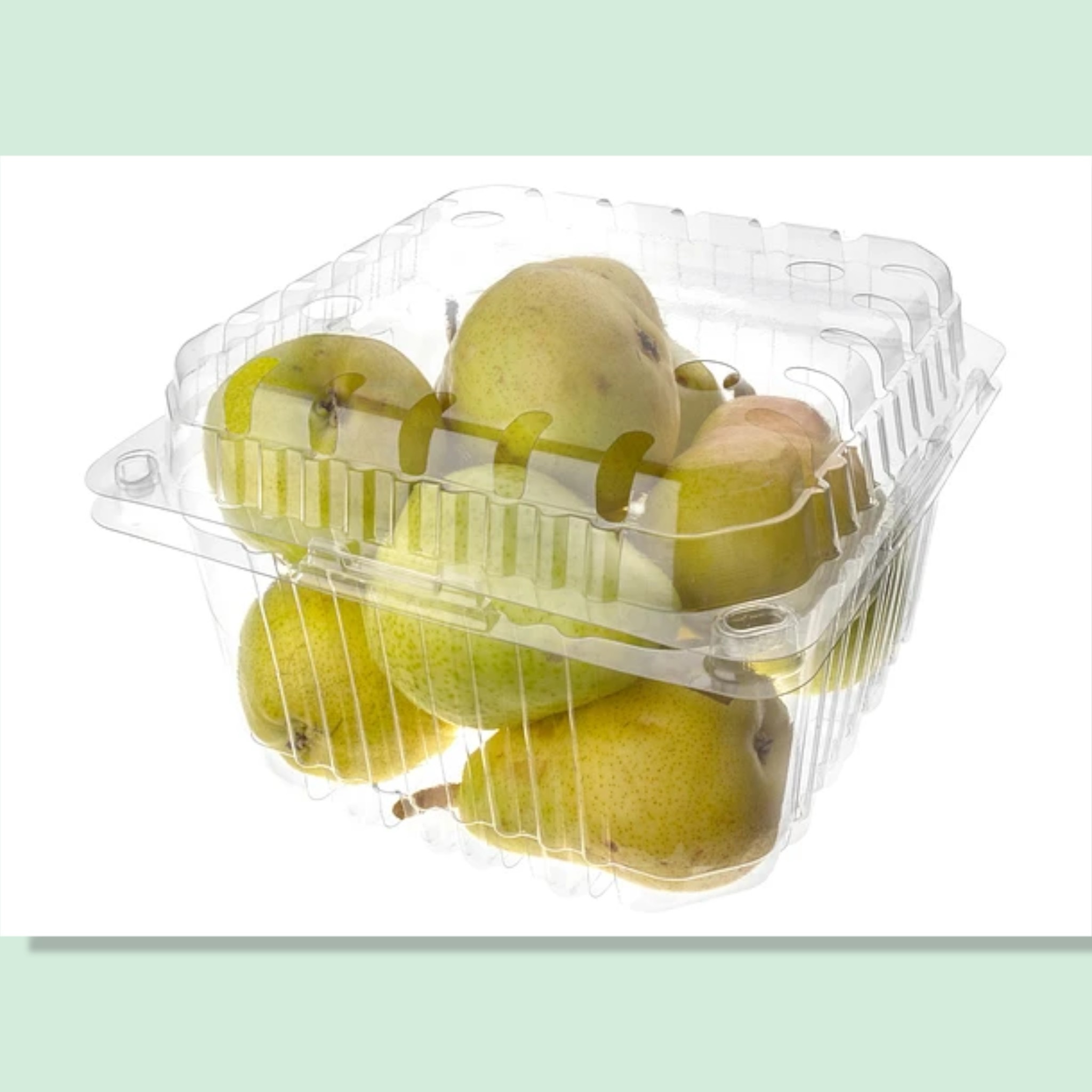 CLAMSHELL para frutas y frutos secos - Imagen 6